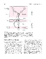 Bhagavan Medical Biochemistry 2001, page 759